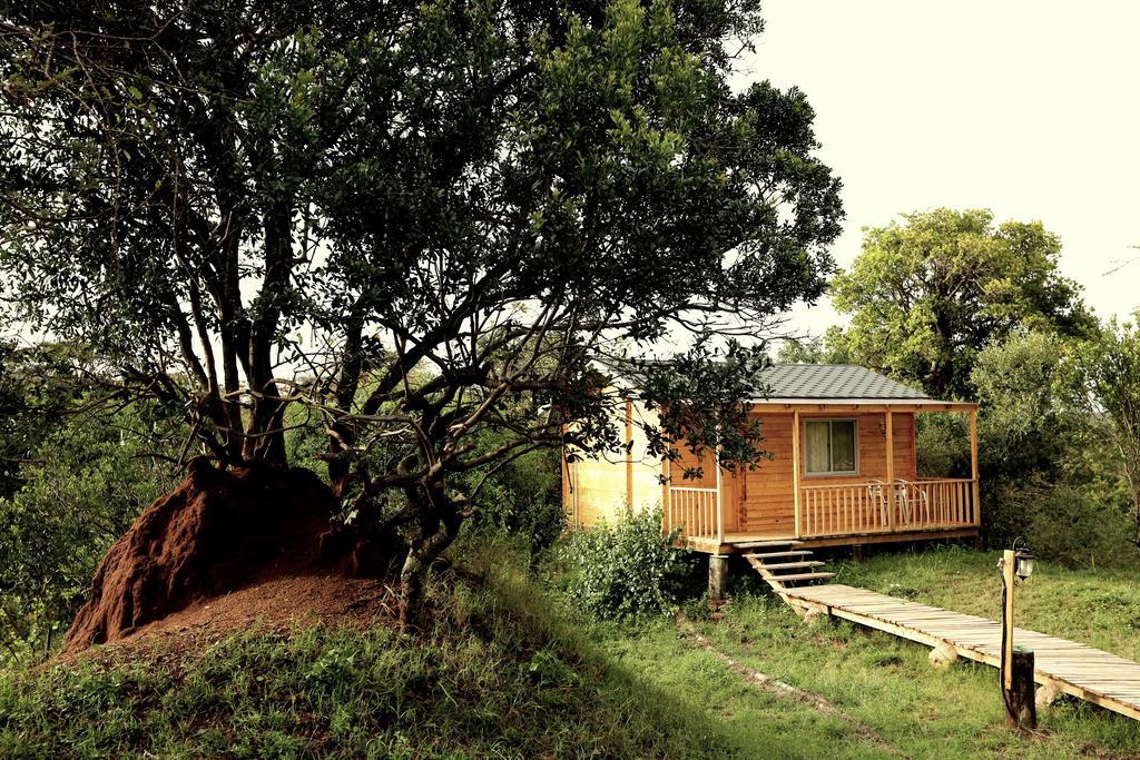 Jambo Mara Safari Lodge Ololaimutiek Cameră foto
