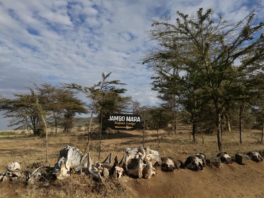 Jambo Mara Safari Lodge Ololaimutiek Exterior foto
