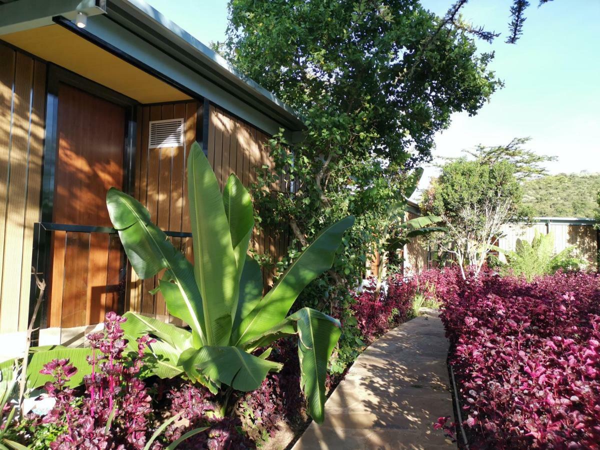 Jambo Mara Safari Lodge Ololaimutiek Exterior foto